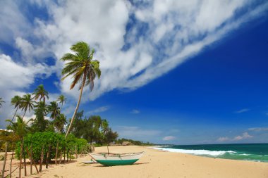 tropikal yalnızlık - tekne ile plaj sahnesi. Sri lanka