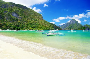 resimsel tropik sahil