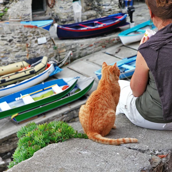 Gato amigável na Grécia — Fotografia de Stock