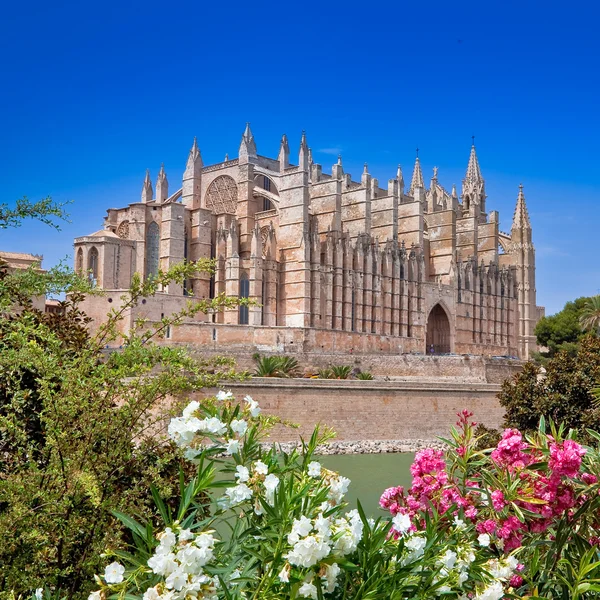 Hermosa catedral - principal monumento arquitectónico de Mallorca — Foto de Stock