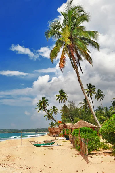 Trópusi magány - strand jelenet hajóval. Srí lanka — Stock Fotó