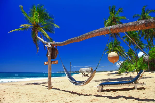Relax tropicale — Foto Stock