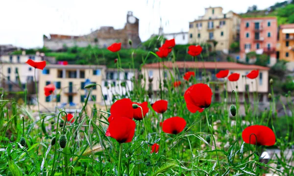 Italia tradicional, pueblos — Foto de Stock