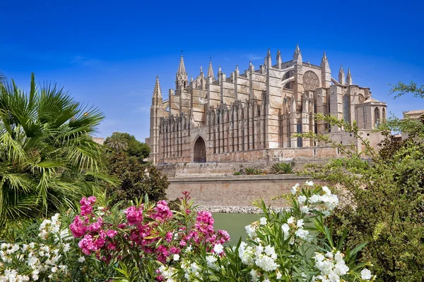 Hermosa catedral - principal monumento arquitectónico de Mallorca — Foto de Stock