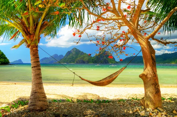 Tropical paradise — Stock Photo, Image