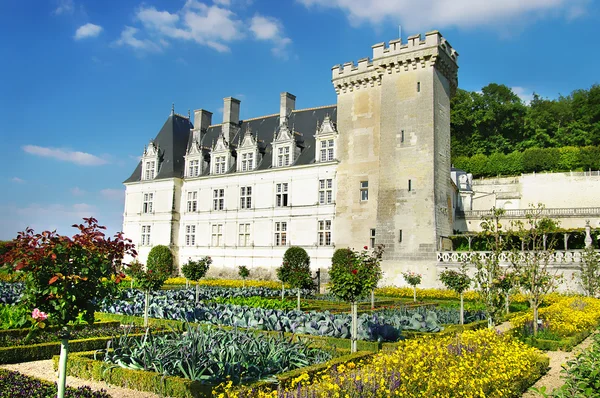 Castello di Villandry - Valle della Loira — Foto Stock