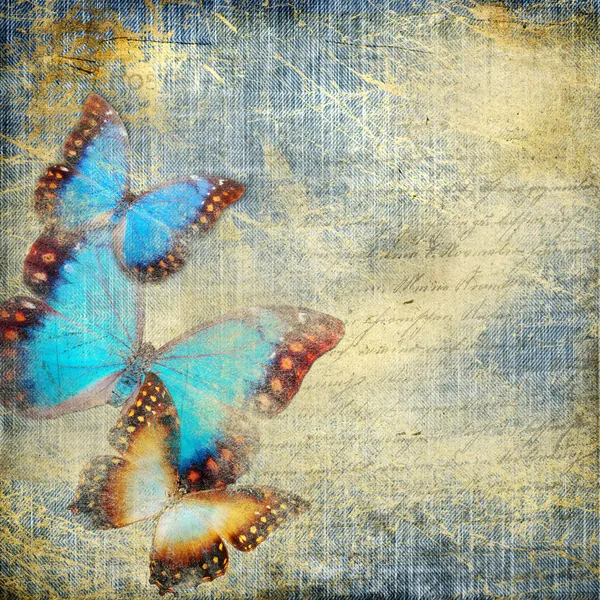 Shabby denim background with butterflies — Stock Photo, Image