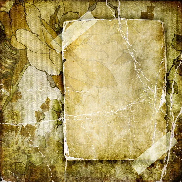 Vintage background with blank page — Stock Photo, Image