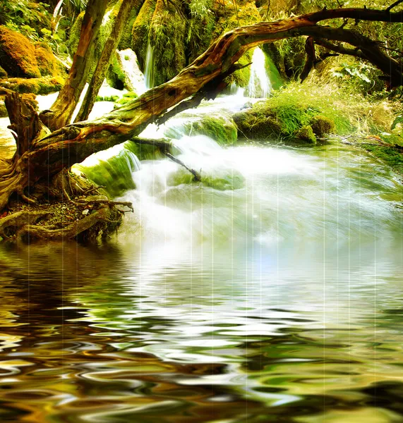 Mysterious river -artistic picture — Stock Photo, Image