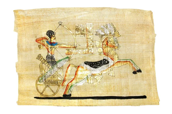 Egyptisk papyrus — Stockfoto