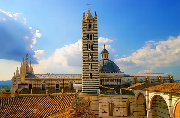 Beautiful medieval city in Tuscany Siena - view of famouse Duomo — Stock Photo, Image