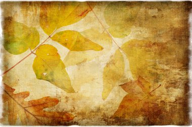 sonbahar arka planda retro tarzı