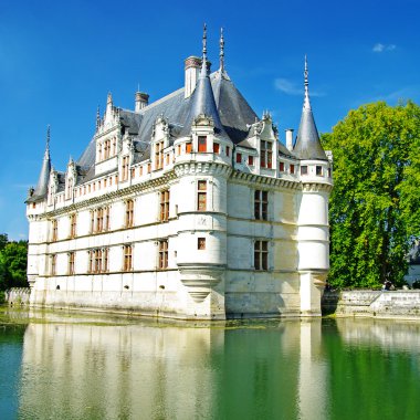 Amazing castles of Loire valley - Azey clipart