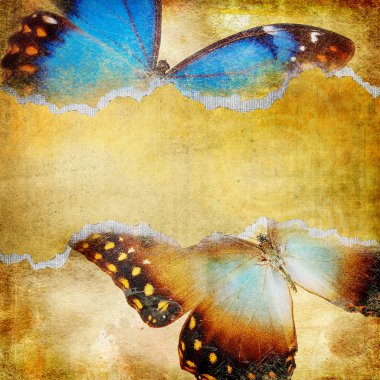 Kelebekler ile dekoratif retro arka plan