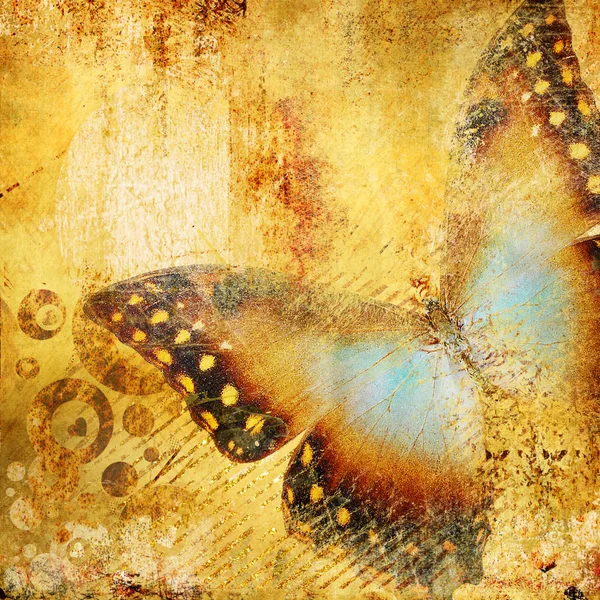 Kelebek ile güzel altın soyutlama — Stok fotoğraf