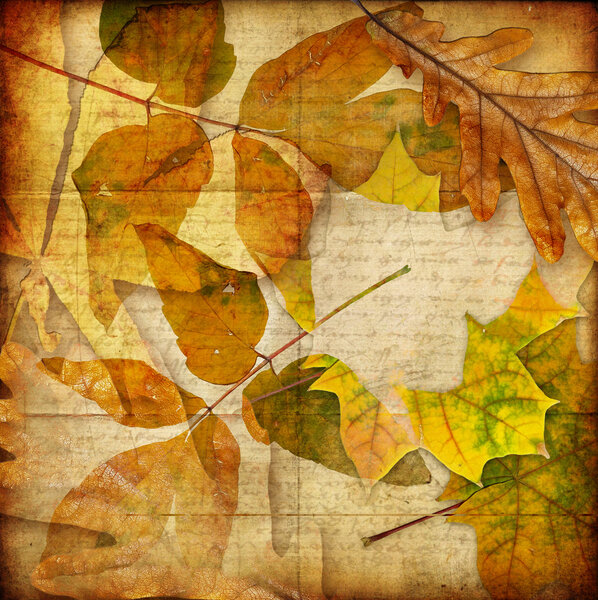 Retro styled autumn paper background with leaves