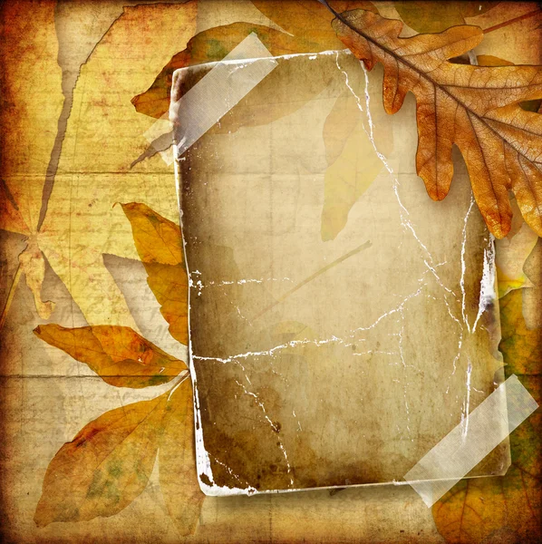 Autumn background with old blank page — Stock Photo, Image