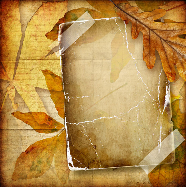 Autumn background with old blank page