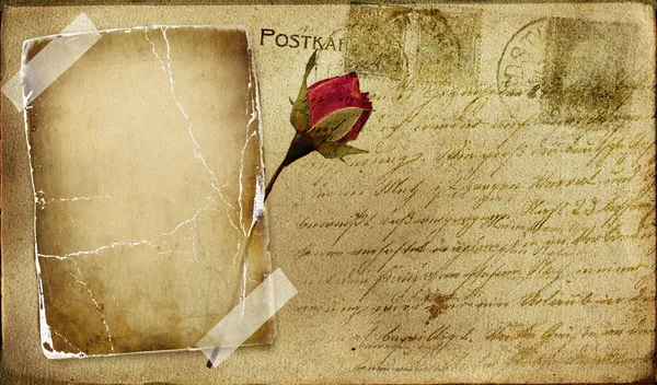 复古浪漫邮政卡与空白帧和玫瑰 — 图库照片