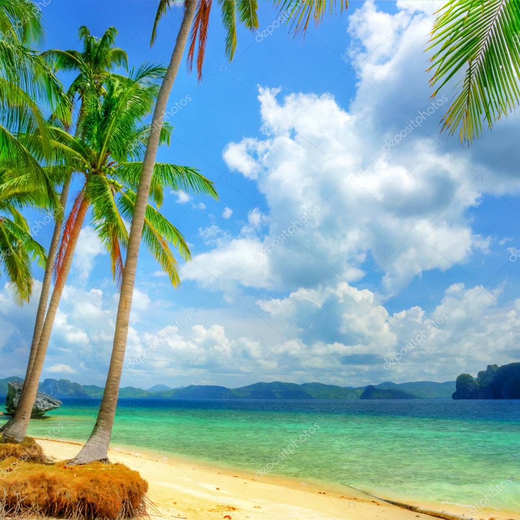 Tropical beach background Stock Photo by ©Maugli 12821283 Tropical beach background Stock Photo by ©Maugli 12821283