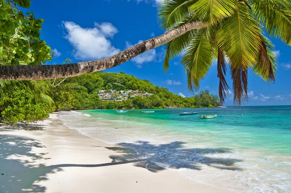 Hermosas islas Seychelles — Foto de Stock