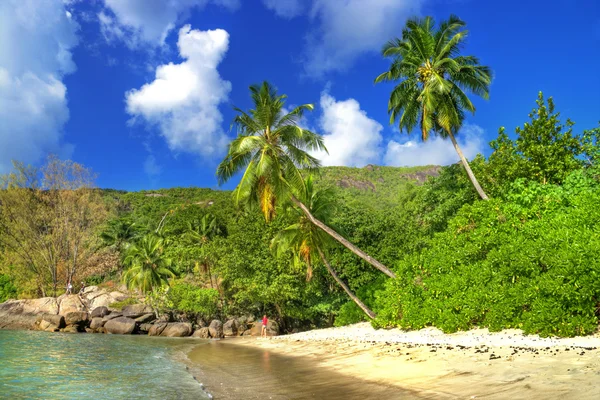 Paraíso tropical — Fotografia de Stock