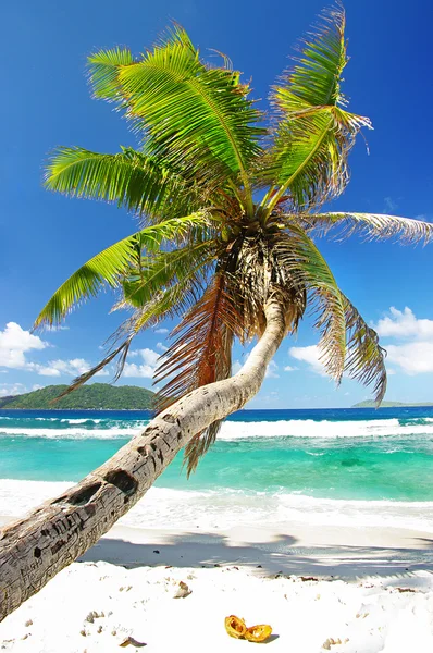 Beautiful Seychelles islands — Stock Photo, Image