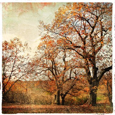 Altın sonbahar - sanatsal peyzaj