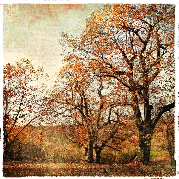Outono dourado - paisagem artística — Fotografia de Stock