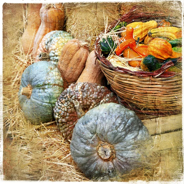 Pumpkins on market - artisitic still life in retro style — Stock Photo, Image