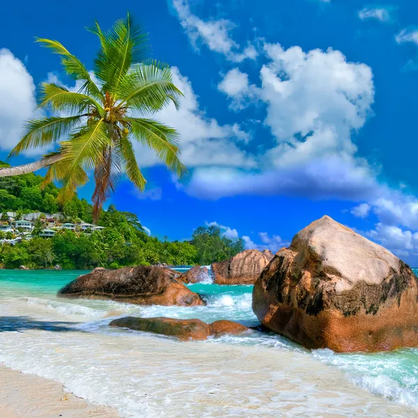 Isole Seychelles — Foto Stock