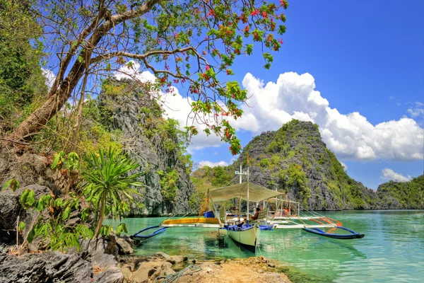 Vacaciones tropicales — Foto de Stock