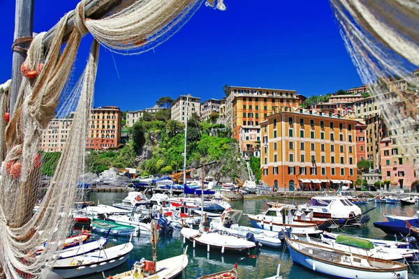 Colorful Camogli, Ligurian coast — Stock Photo, Image