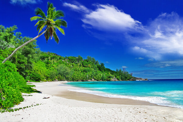 beautiful white sandy beaches of Seychelles