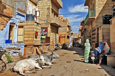 Hindistan'da seyahat. Jaisalmer sokakları