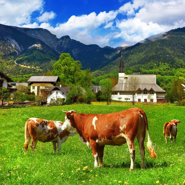 Alpine scenery — Stock Photo, Image