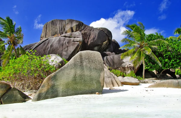 Praias rochosas de granito único de Seychelles — Fotografia de Stock