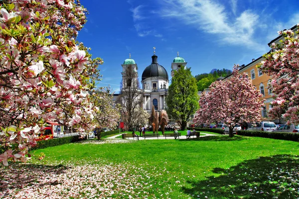 Blooming spring in Salzburg , Austria — Stock Photo, Image