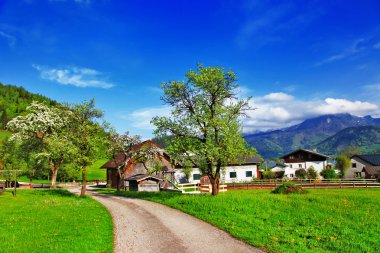 doğa manzaralı Alpin kırsal, Avusturya
