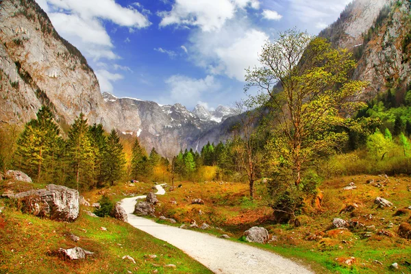 Осень в Альпах, Бавария — стоковое фото