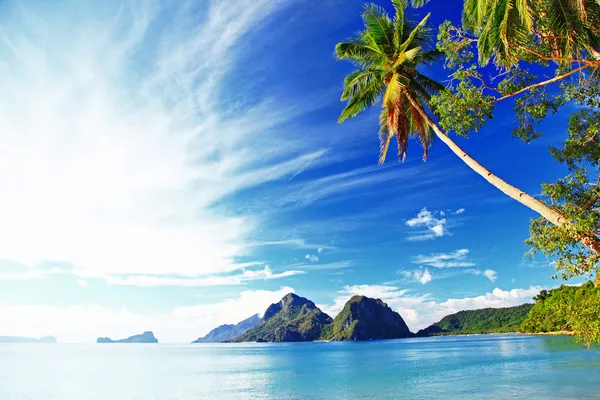 Tropical holidays, — Stockfoto