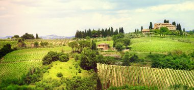 Landscape of Tuscany clipart
