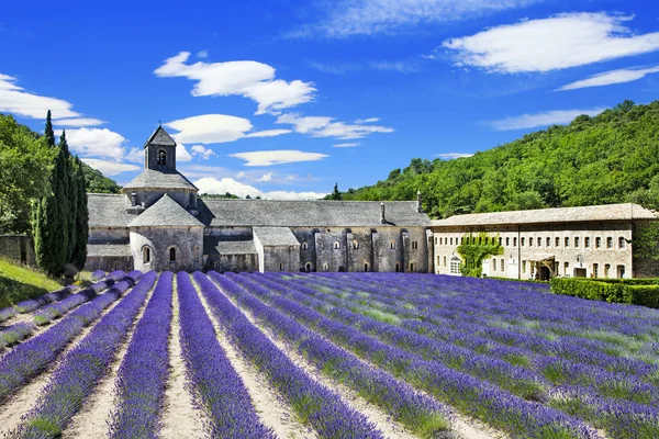 Abbaye de senanque met bloeiende lavendel veld, provence, fran — Stockfoto