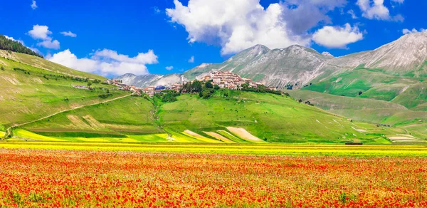 意大利风景秀丽的风景 Castelluccio Norcia村 鲜花盛开的草地 Umbria — 图库照片