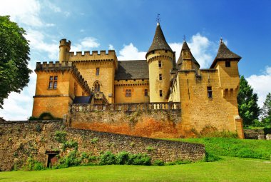 castles of France collection - Puymartin (Dordogne department) clipart