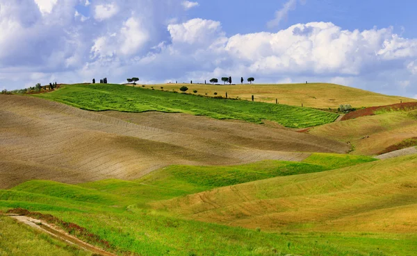 多斯加尼风景。金色的小山的 orcia. — 图库照片