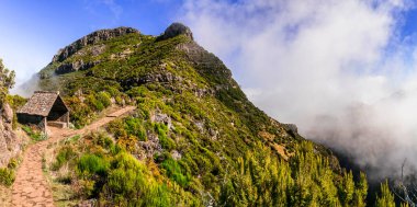 Madeira adasında yürüyüş. Pico Ruivo 'ya giden yol bulutların en yüksek noktasından geçiyor.