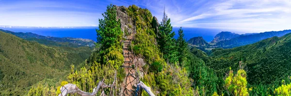 Hihetetlen Természet Szépsége Madeira Sziget Híres Túrázás Hegyekben Panorámás Kilátás — Stock Fotó