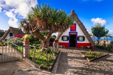 Madeira adası seyahati ve işaretleri. Santana şehrinde sazdan çatıları olan geleneksel renkli evler, Portekiz 'de popüler turistik yerler.
