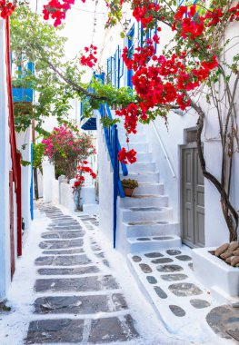 Yunan adalarının alımlı, tipik çiçek sokakları. Mykonos, Cyclades. Popüler yaz turizm beldesi